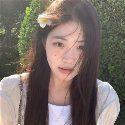 玫瑰复艳时